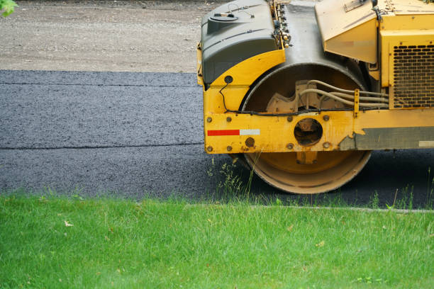 Best Decorative Driveway Pavers  in Butler Beach, FL